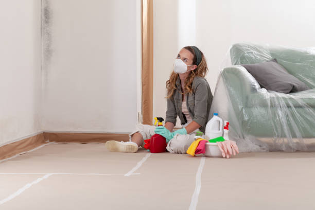 Reliable Black Mold Removal contractor in Geneva, NY by WQB Mold Removal